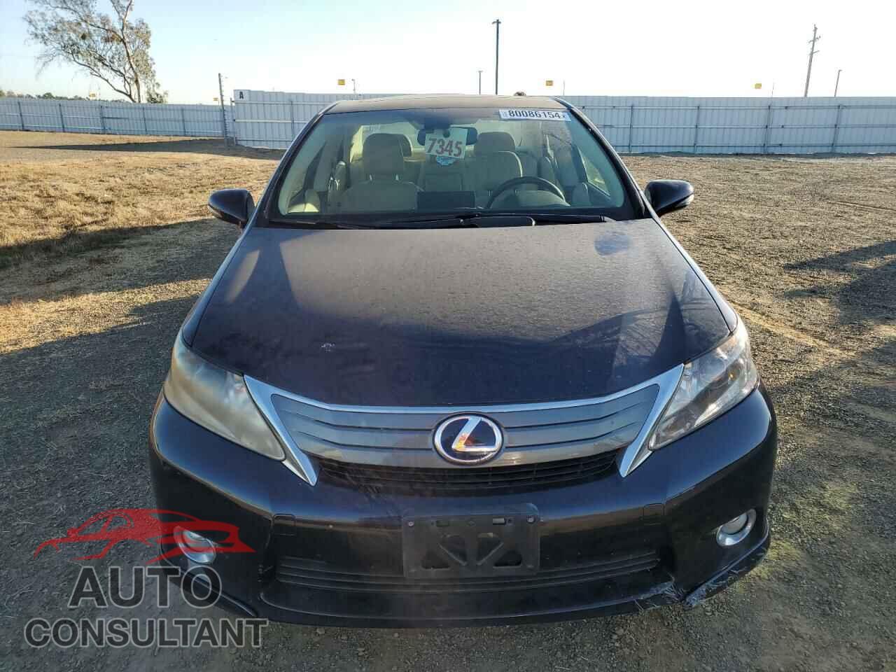 LEXUS HS 2010 - JTHBB1BA1A2017523