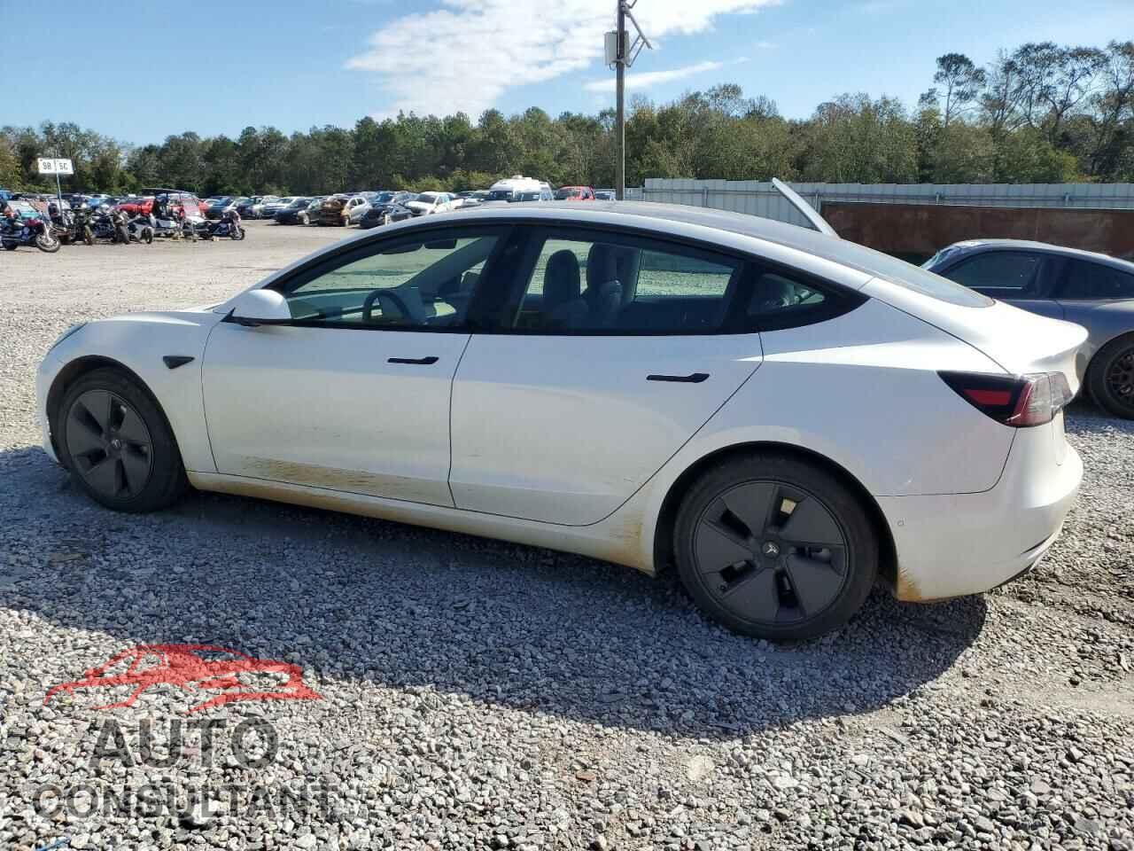 TESLA MODEL 3 2021 - 5YJ3E1EA0MF976356