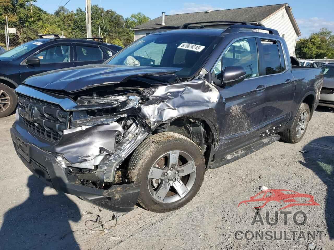 HONDA RIDGELINE 2024 - 5FPYK3F53RB021254