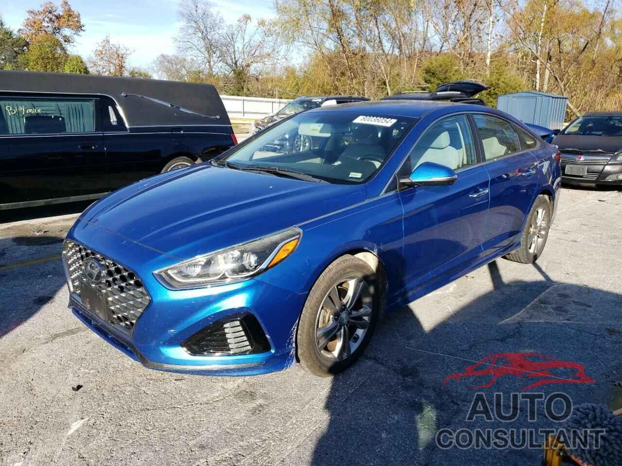 HYUNDAI SONATA 2019 - 5NPE34AF9KH784398