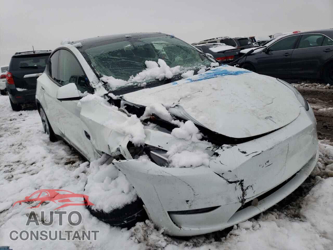 TESLA MODEL Y 2023 - 7SAYGDEE2PF602844