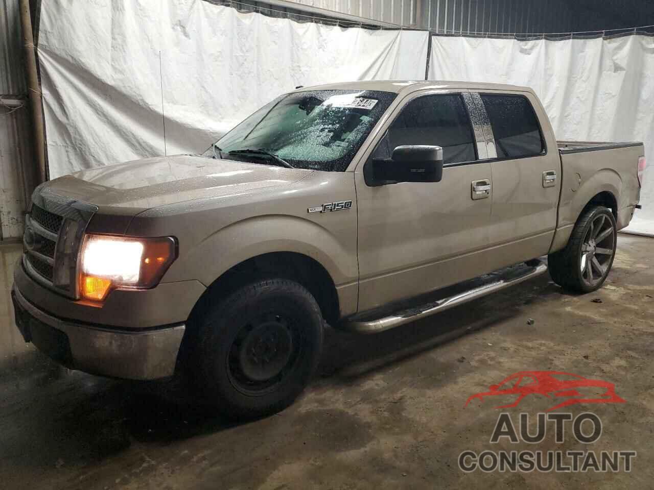 FORD F-150 2009 - 1FTRW12899FA10843