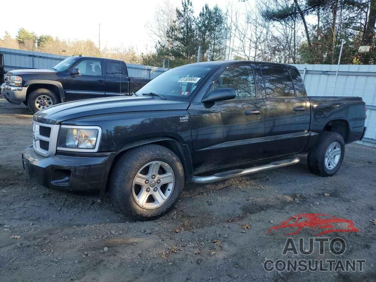 DODGE All Models 2011 - 1D7RW3GP8BS572084