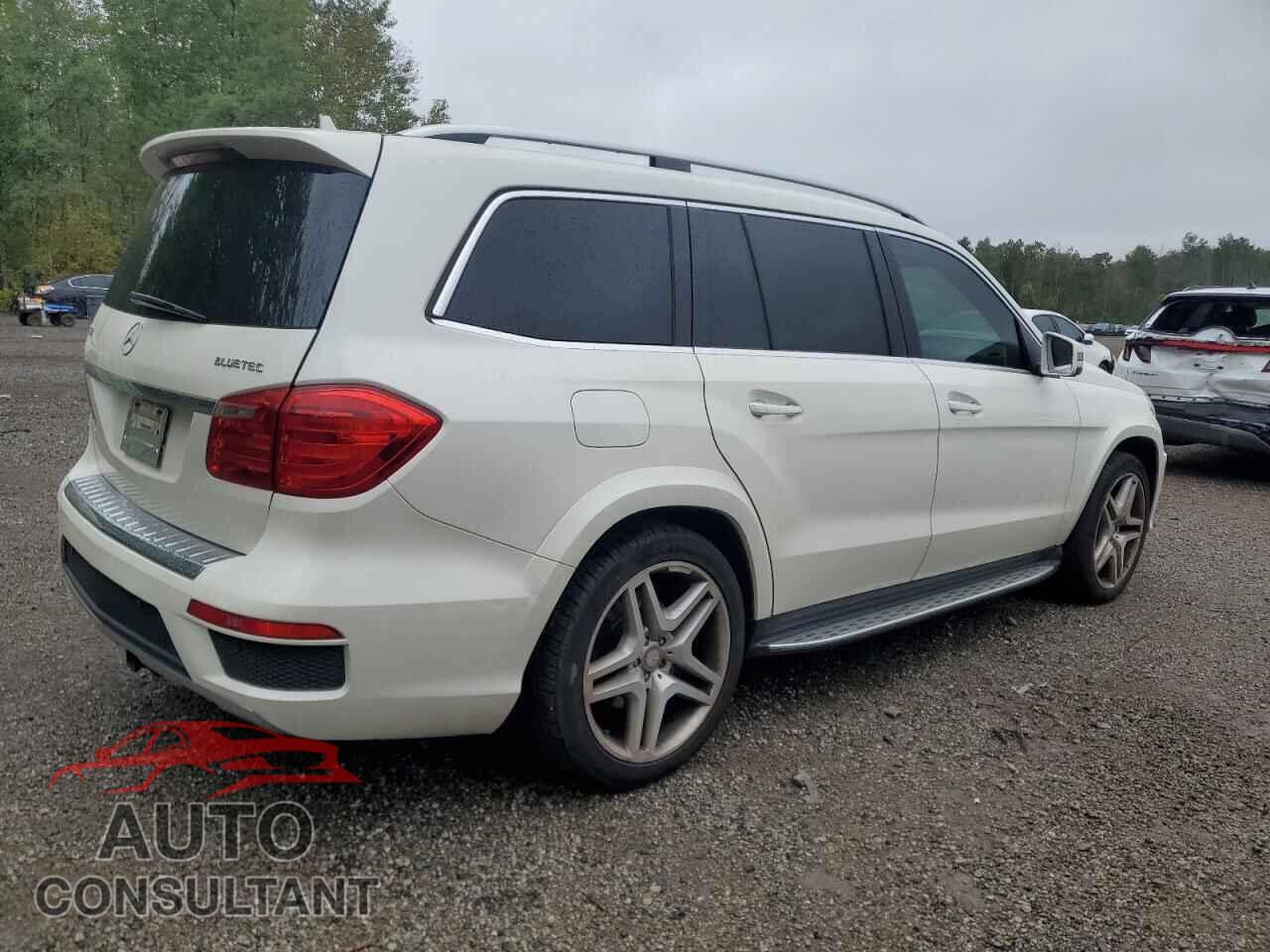 MERCEDES-BENZ GL-CLASS 2013 - 4JGDF2EE6DA238642