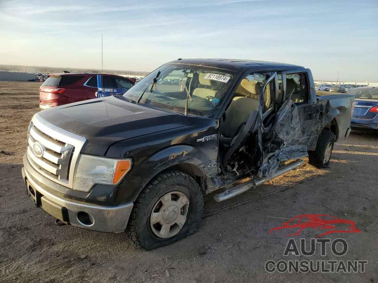 FORD F-150 2010 - 1FTFW1EV8AFB49970