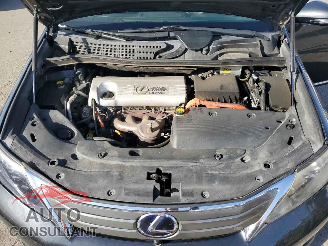 LEXUS HS 2010 - JTHBB1BA1A2035746