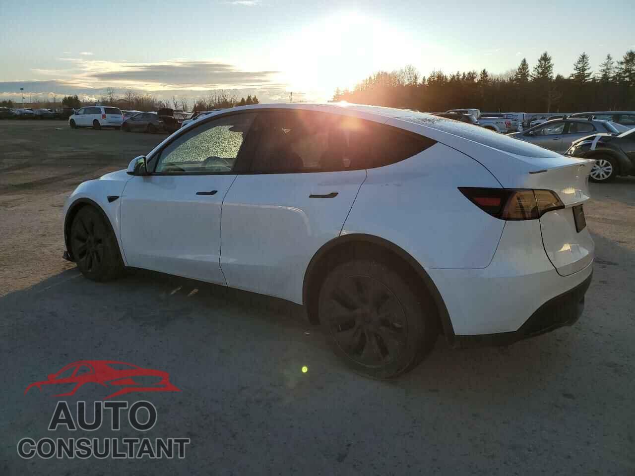 TESLA MODEL Y 2024 - 7SAYGDED1RF125365