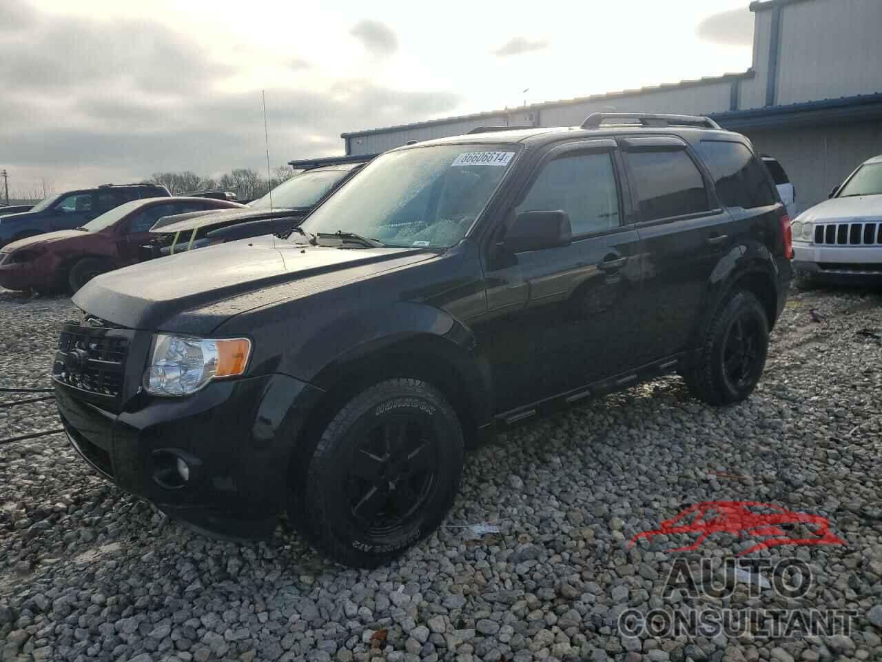 FORD ESCAPE 2012 - 1FMCU9DG3CKB41341