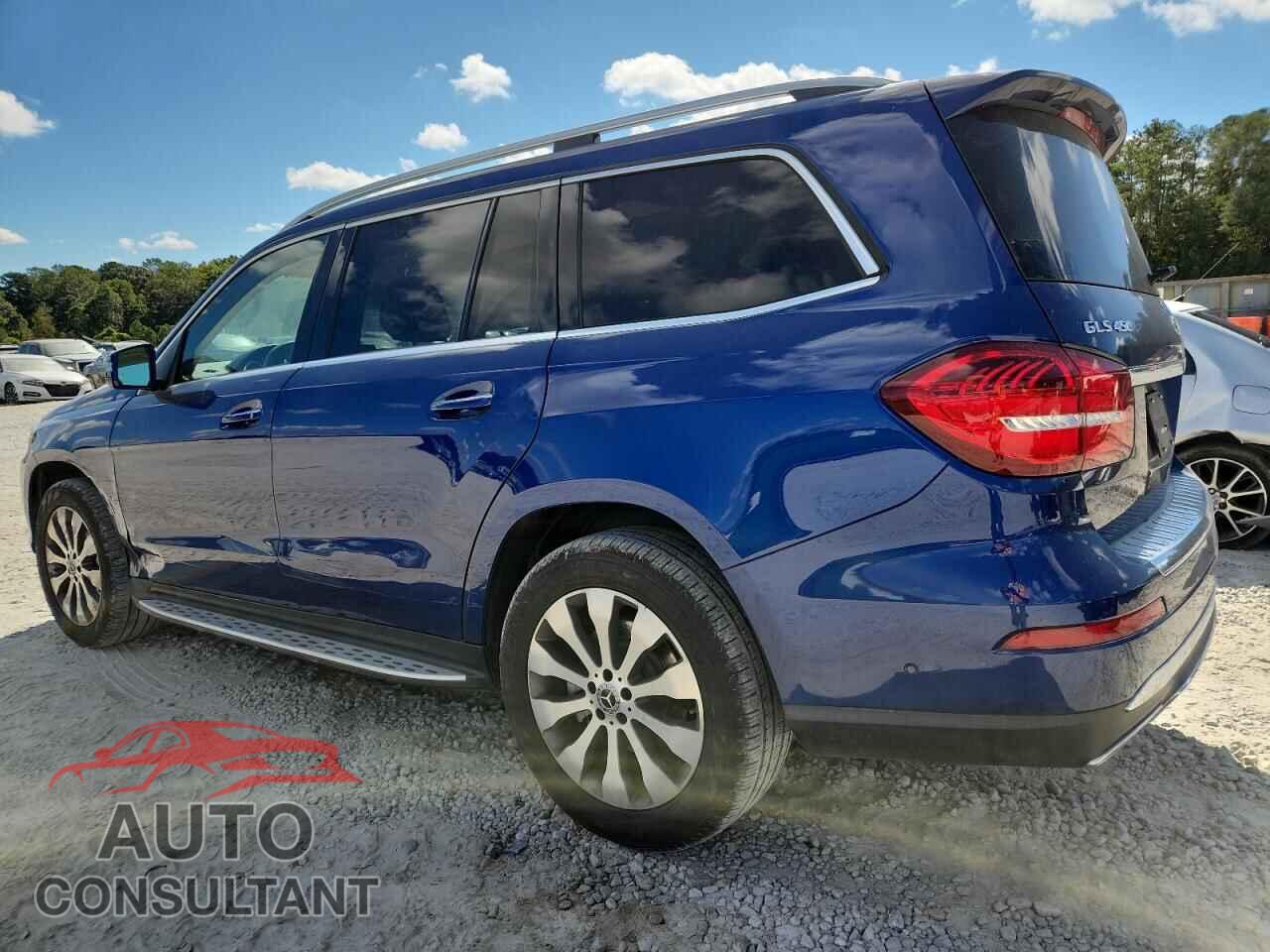 MERCEDES-BENZ GLS-CLASS 2019 - 4JGDF6EE7KB219340