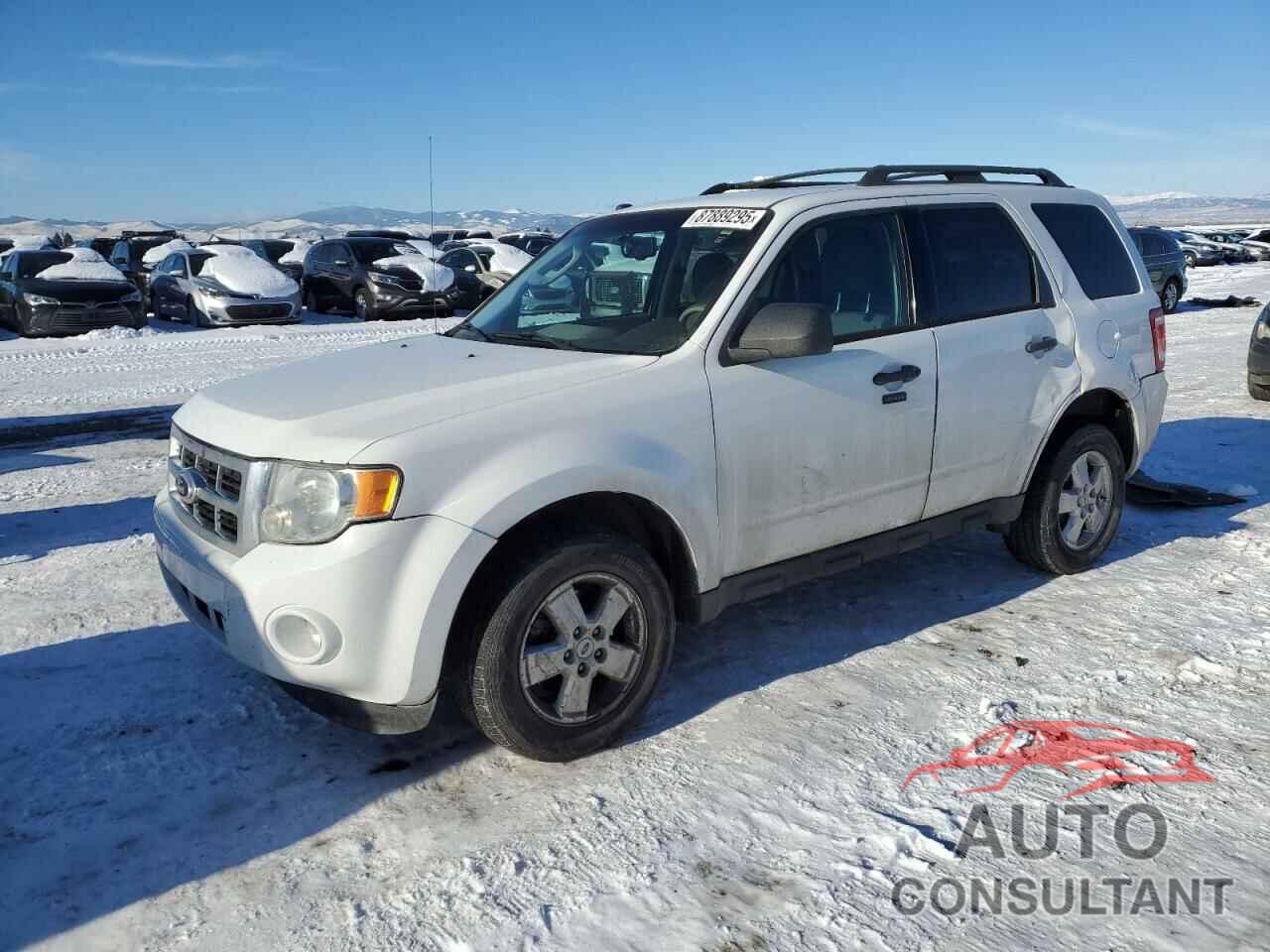 FORD ESCAPE 2010 - 1FMCU9D71AKA88510