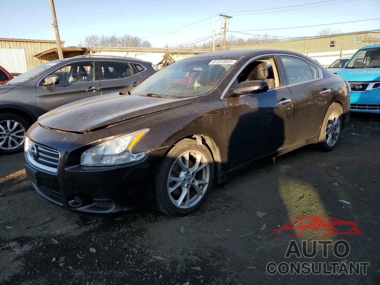 NISSAN MAXIMA 2013 - 1N4AA5AP5DC842448