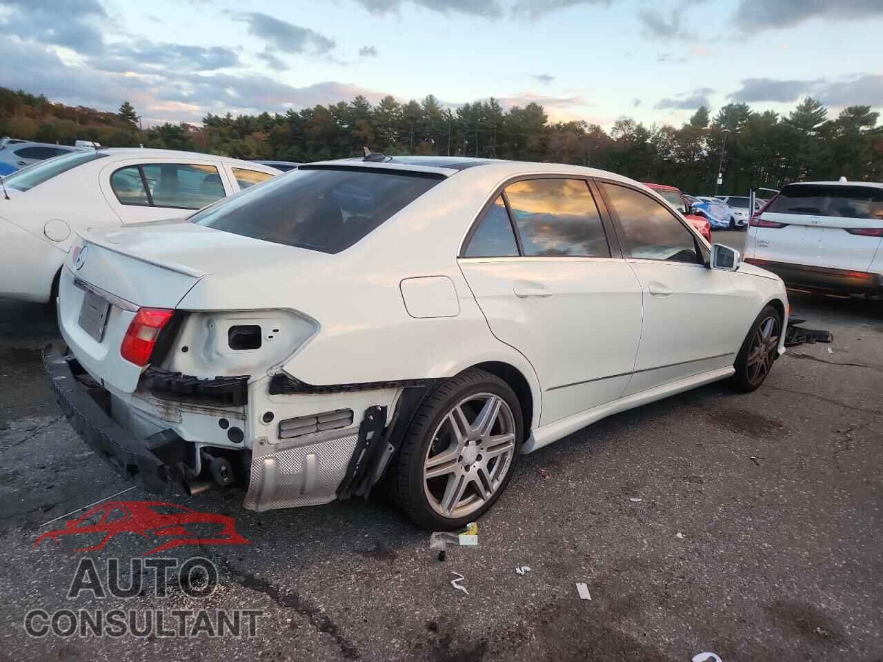 MERCEDES-BENZ E-CLASS 2010 - WDDHF7CB7AA224049