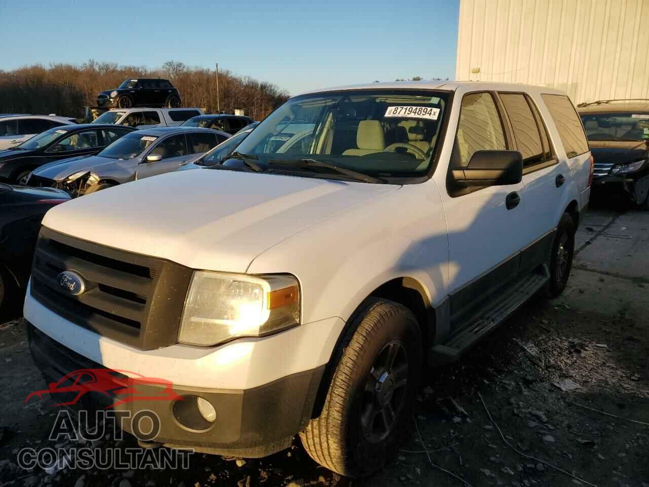 FORD EXPEDITION 2010 - 1FMJU1G57AEB65107