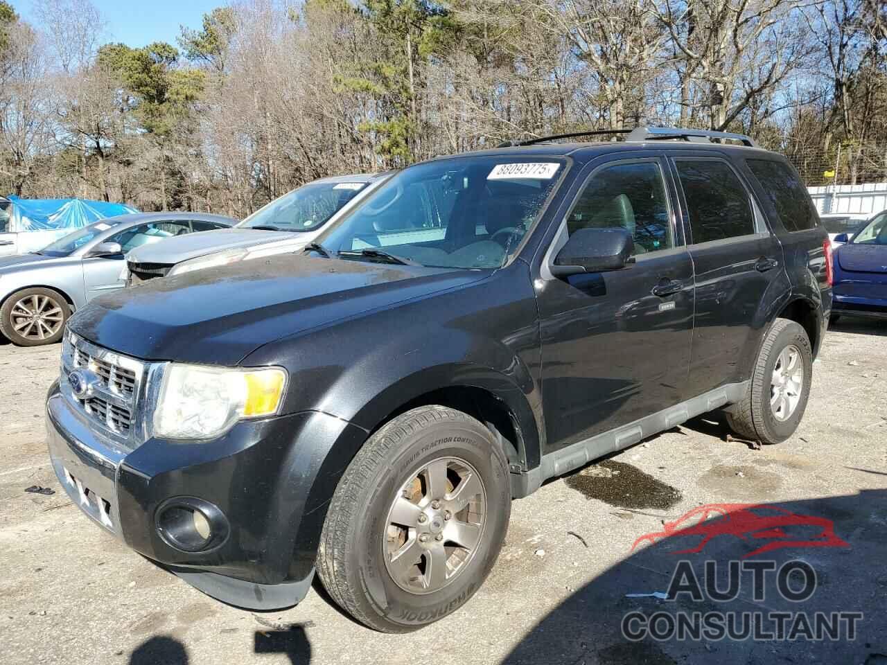 FORD ESCAPE 2011 - 1FMCU0EG1BKA03788
