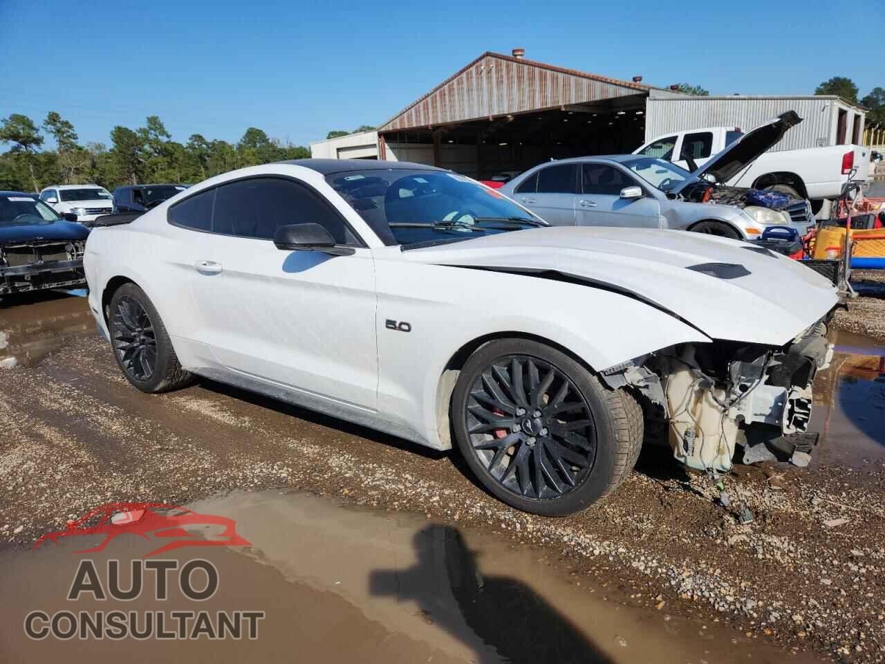 FORD MUSTANG 2019 - 1FA6P8CF0K5151663
