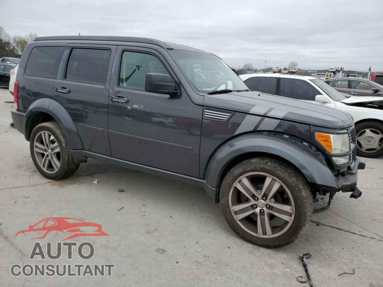 DODGE NITRO 2011 - 1D4PT6GX6BW534487
