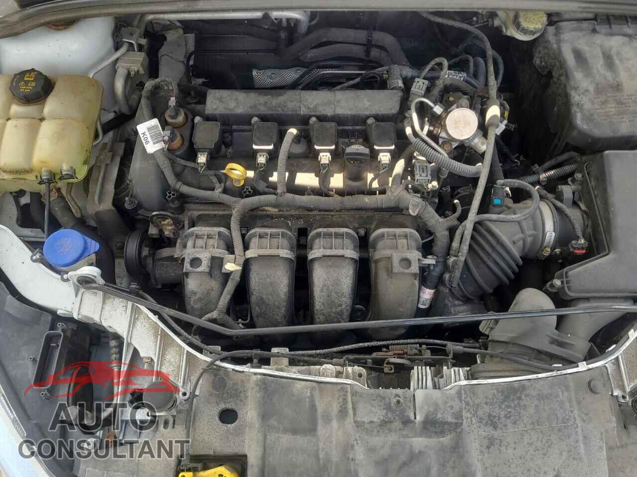 FORD FOCUS 2016 - 1FADP3F24GL349233