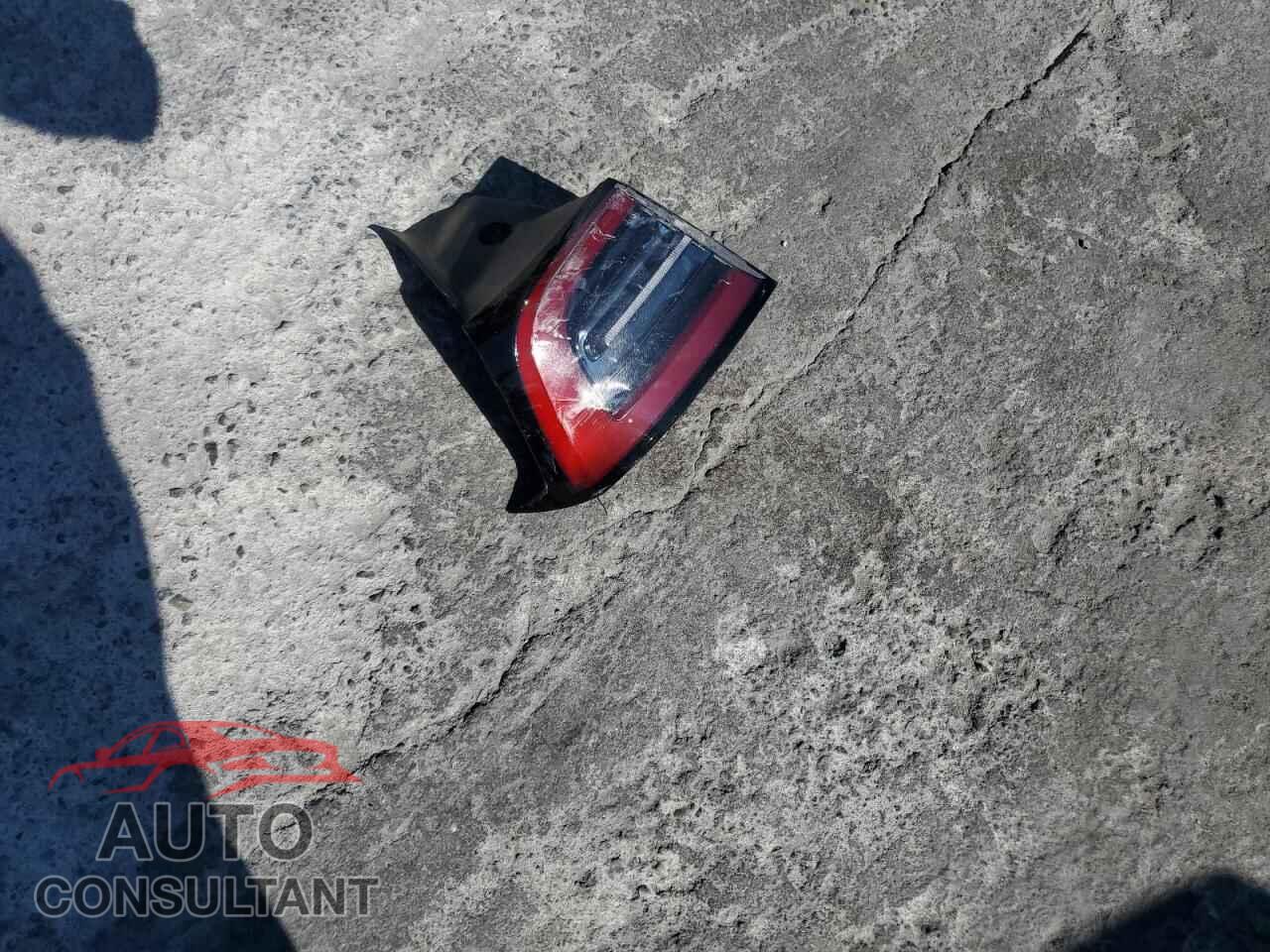 TESLA MODEL Y 2024 - 7SAYGDEE0RF150556