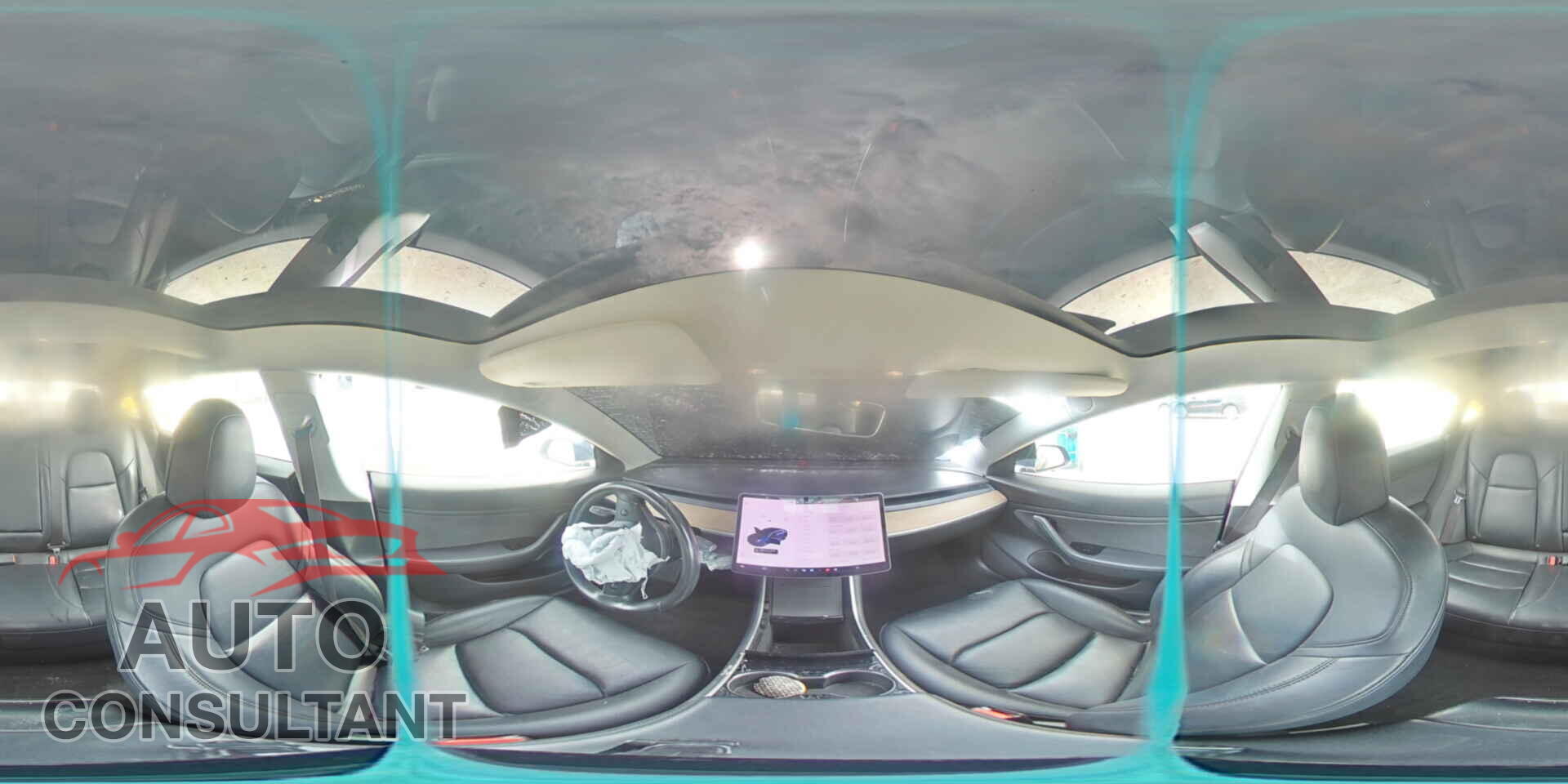 TESLA MODEL 3 2019 - 5YJ3E1EA9KF308987