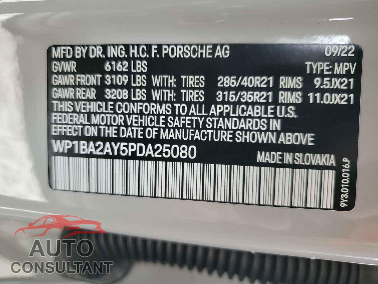 PORSCHE CAYENNE 2023 - WP1BA2AY5PDA25080