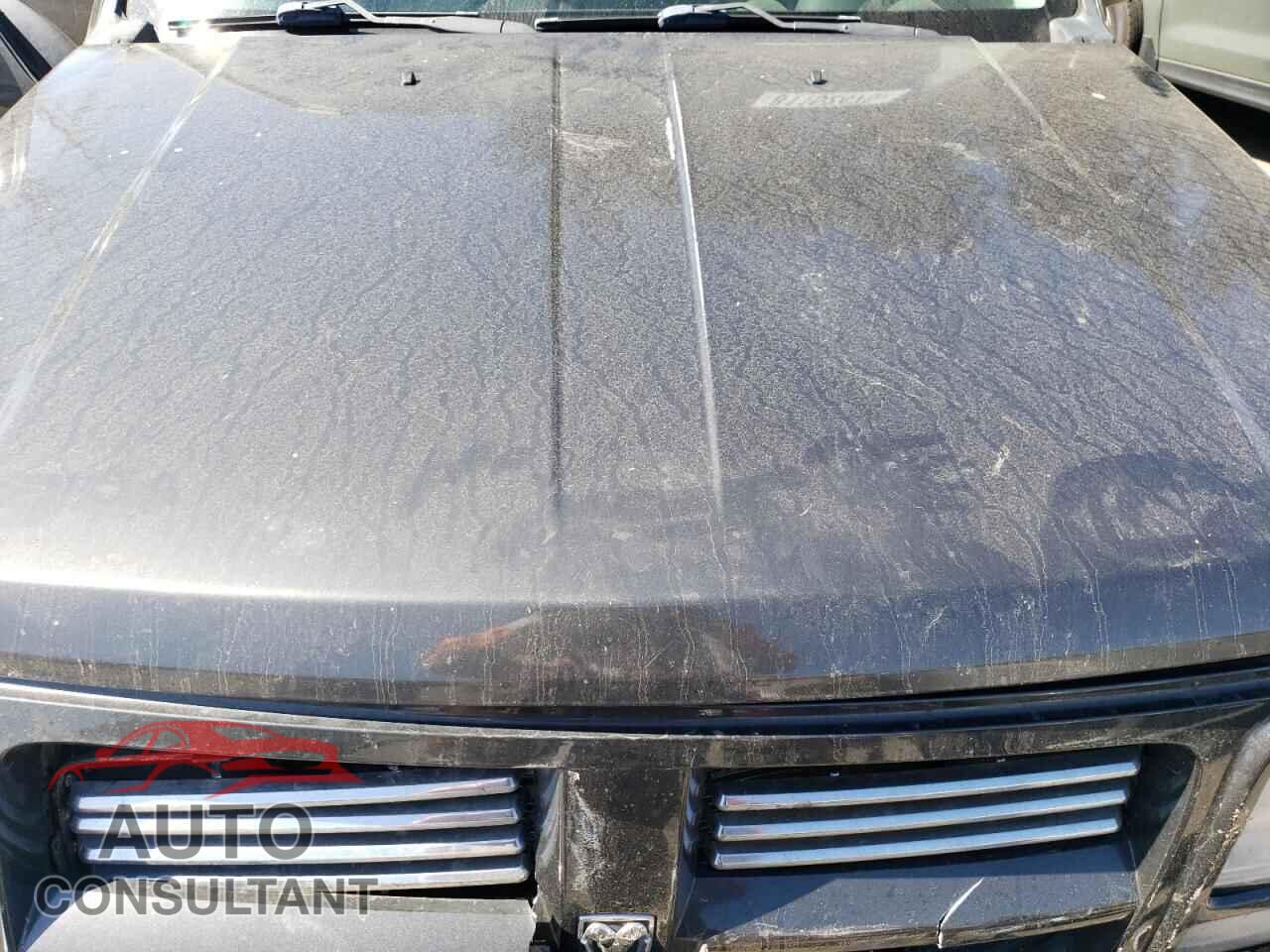 DODGE NITRO 2011 - 1D4PU4GX4BW543979