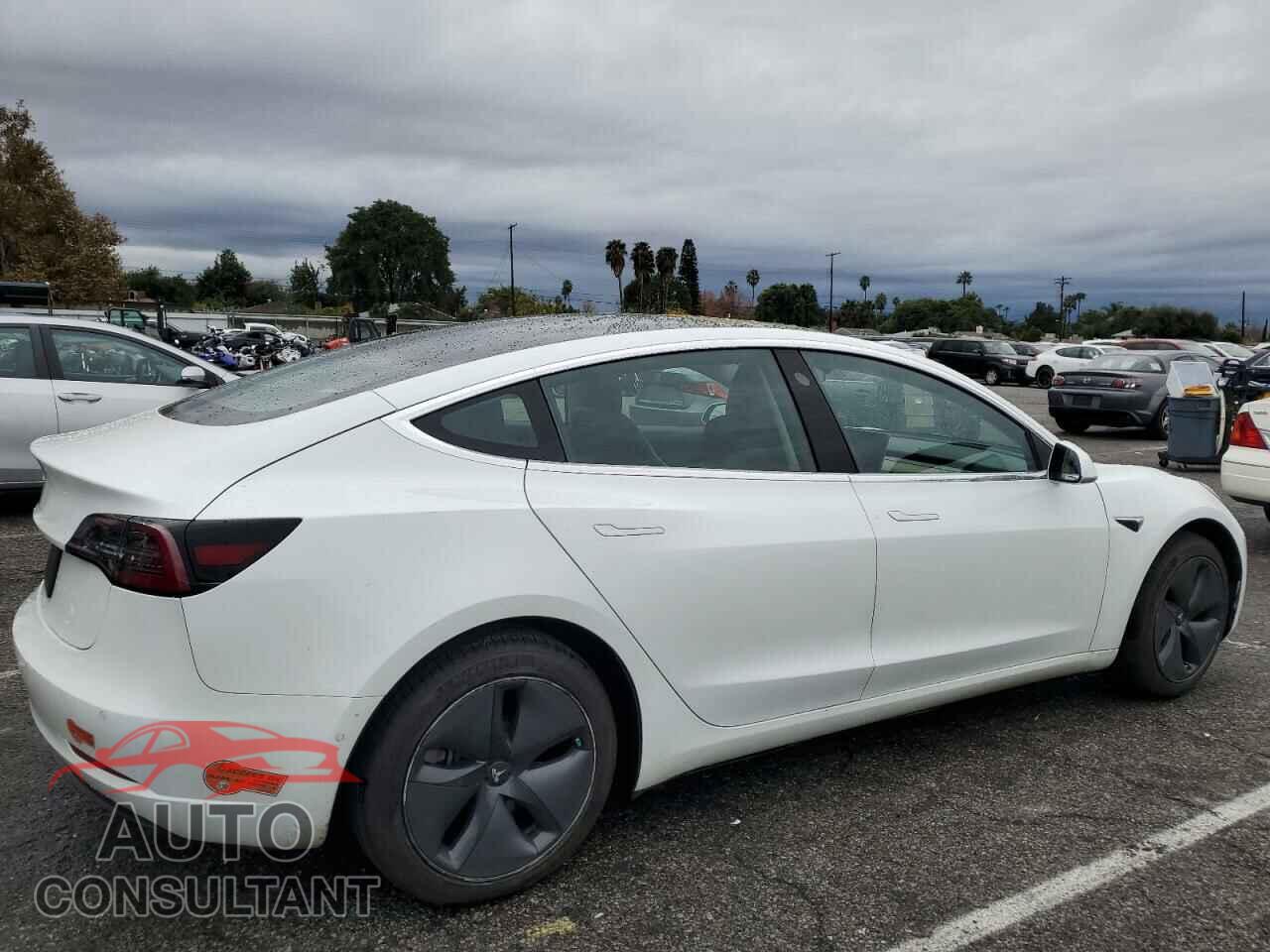 TESLA MODEL 3 2019 - 5YJ3E1EA9KF435674