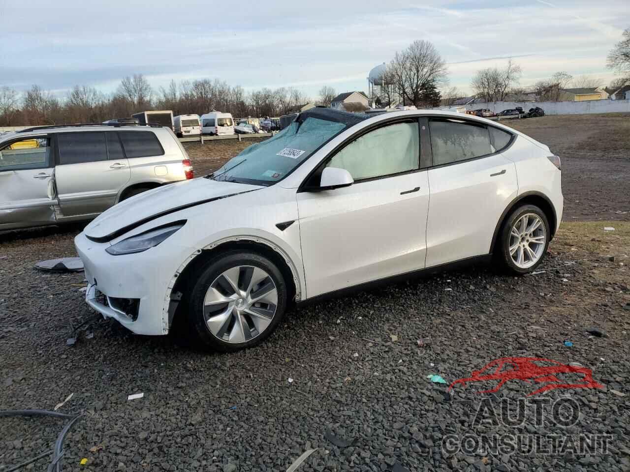 TESLA MODEL Y 2021 - 5YJYGDEE6MF146484