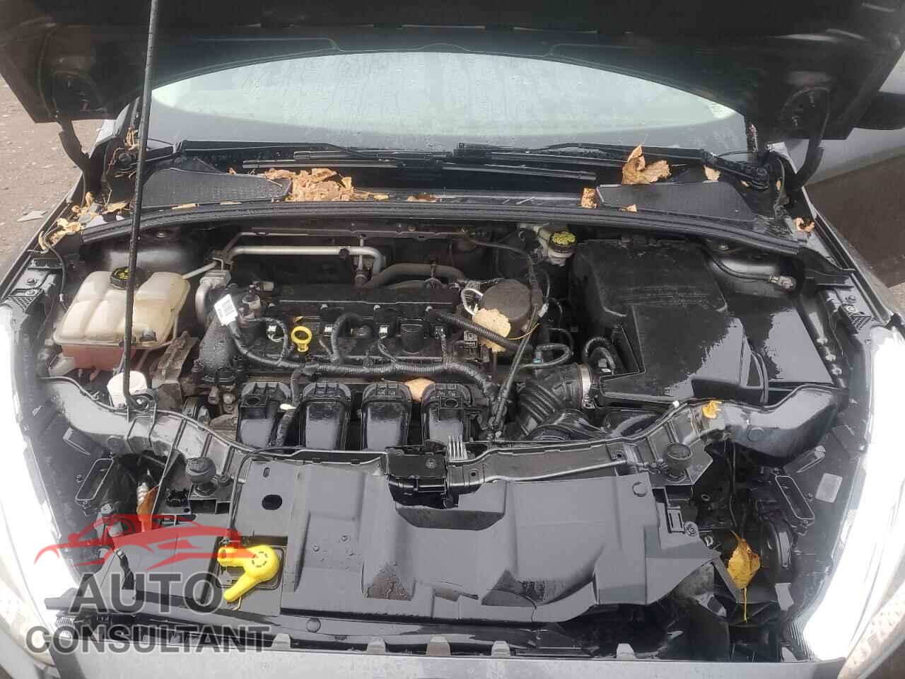 FORD FOCUS 2015 - 1FADP3E20FL310526
