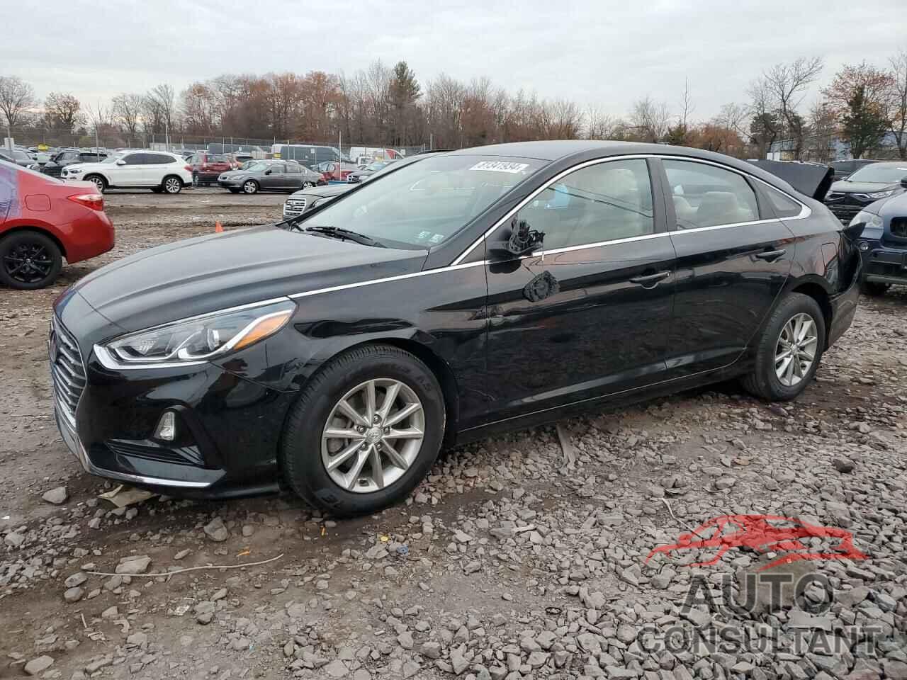 HYUNDAI SONATA 2019 - 5NPE24AF3KH817639