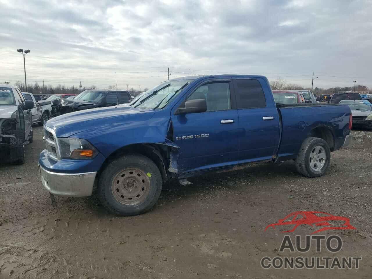 DODGE All Models 2011 - 1D7RV1GT4BS558557