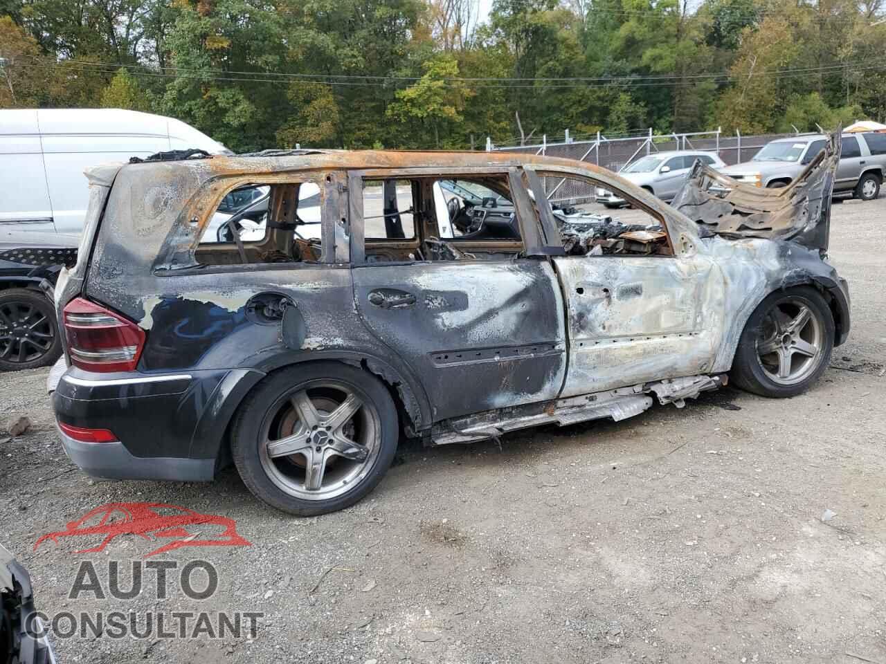 MERCEDES-BENZ GL-CLASS 2009 - 4JGBF86E59A475008