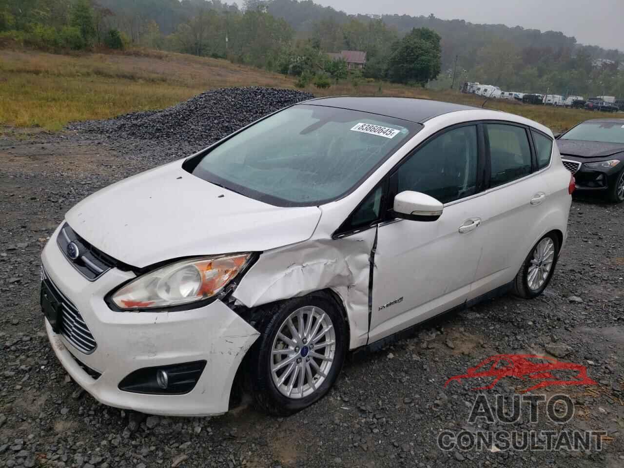 FORD CMAX 2013 - 1FADP5BU2DL551955