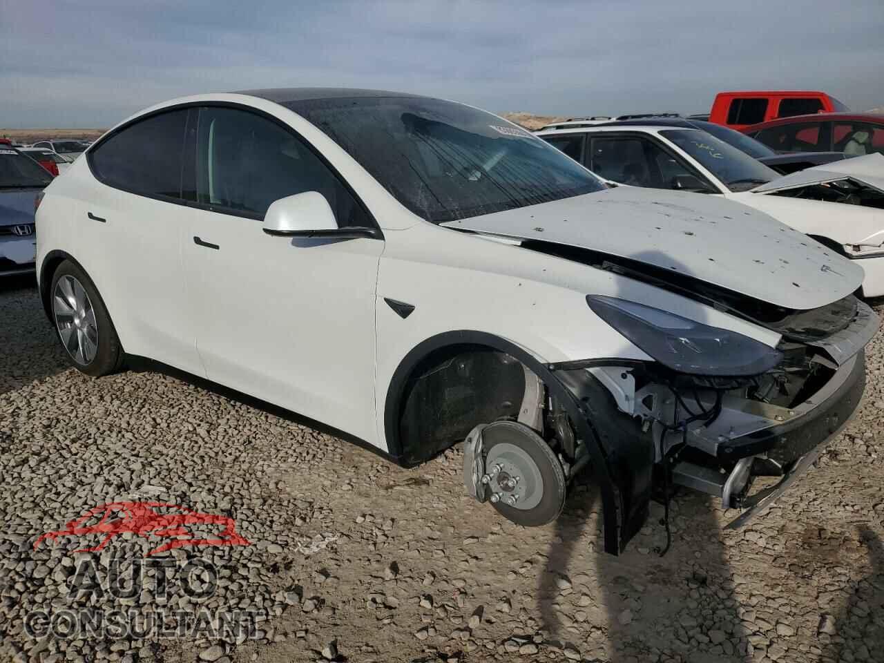 TESLA MODEL Y 2024 - 7SAYGDEE8RF089117