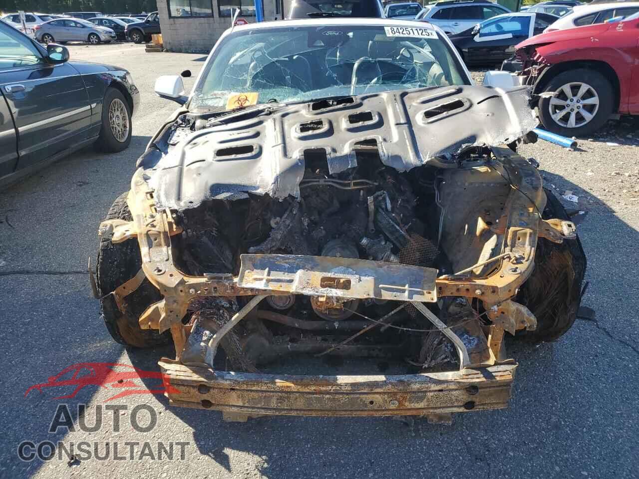 FORD MUSTANG 2021 - 1FATP8FF1M5135425