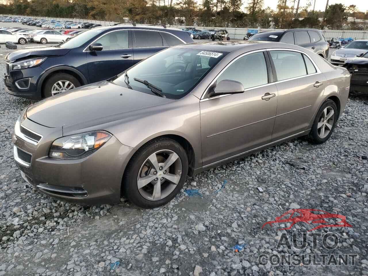CHEVROLET MALIBU 2010 - 1G1ZC5E01AF201644