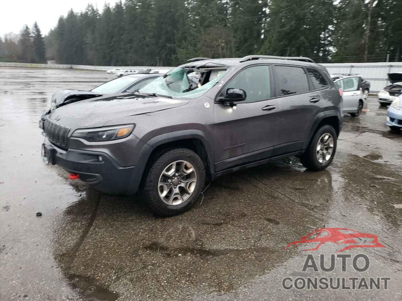 JEEP CHEROKEE 2019 - 1C4PJMBX3KD255332