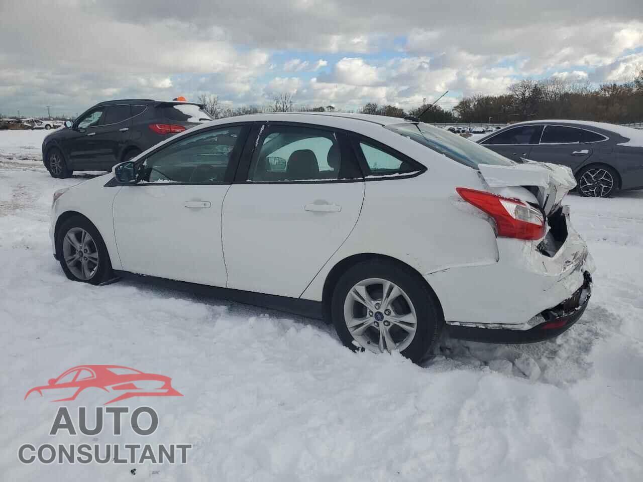 FORD FOCUS 2014 - 1FADP3F20EL431991