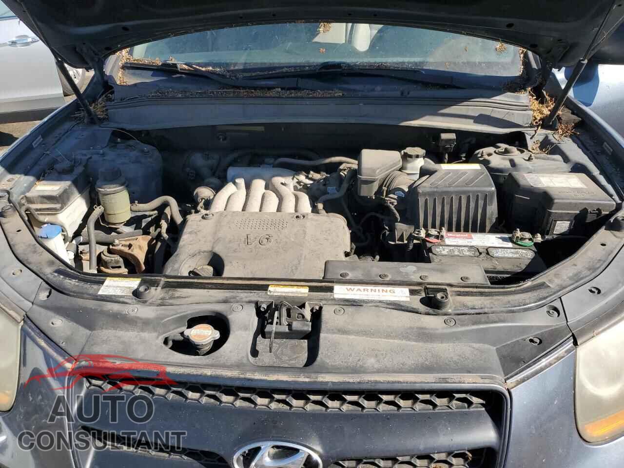 HYUNDAI SANTA FE 2009 - 5NMSG13D29H248417