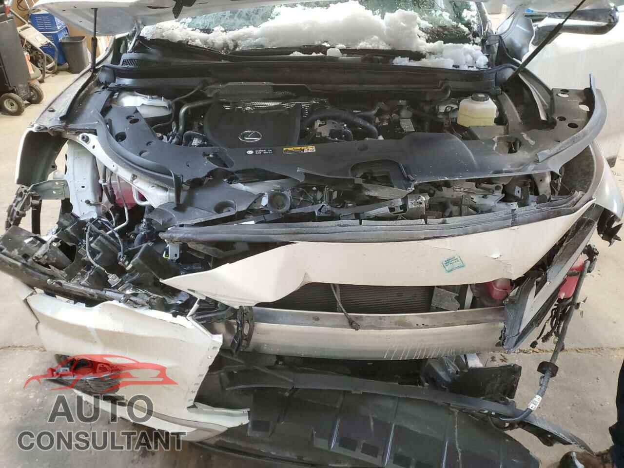 LEXUS RX350 2024 - 2T2BAMCA4RC076143