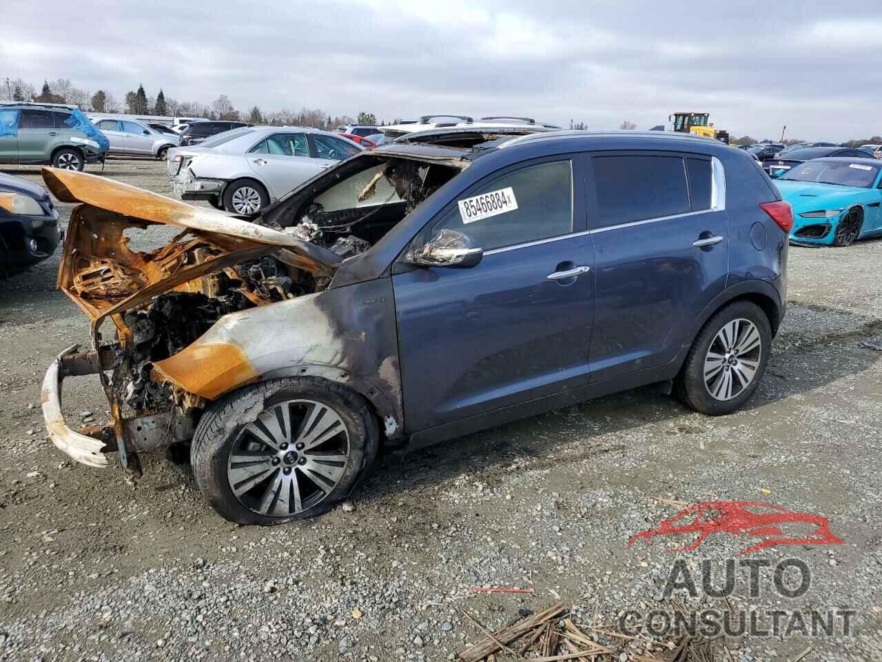 KIA SPORTAGE 2016 - KNDPCCAC3G7841070