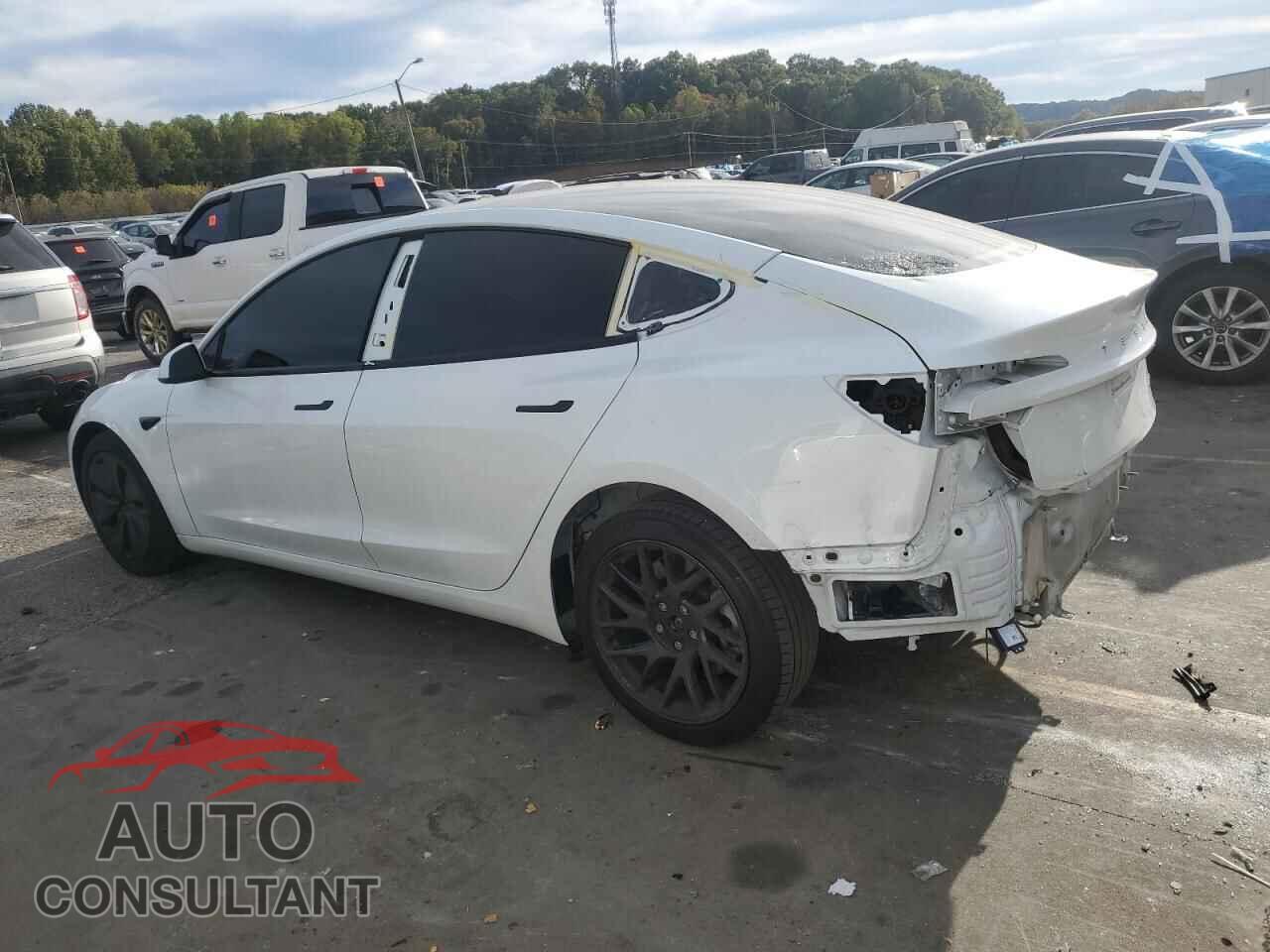 TESLA MODEL 3 2024 - 5YJ3E1EB6RF816384