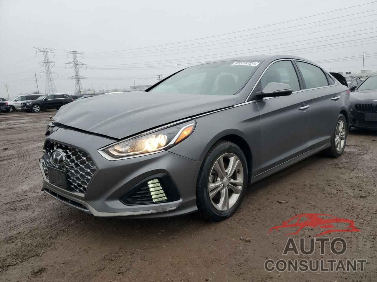 HYUNDAI SONATA 2019 - 5NPE34AF7KH772749