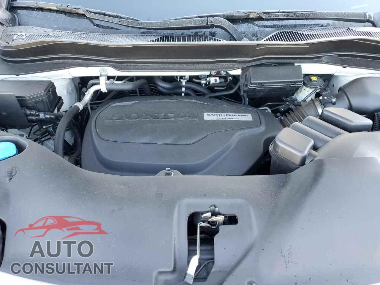 HONDA RIDGELINE 2019 - 5FPYK3F69KB024089