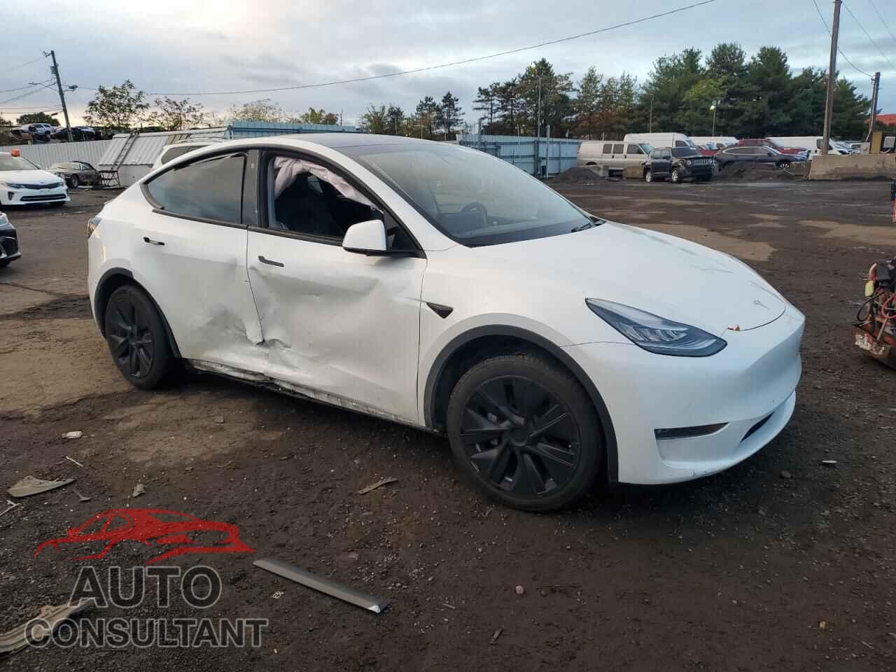 TESLA MODEL Y 2020 - 5YJYGDEE7LF024862