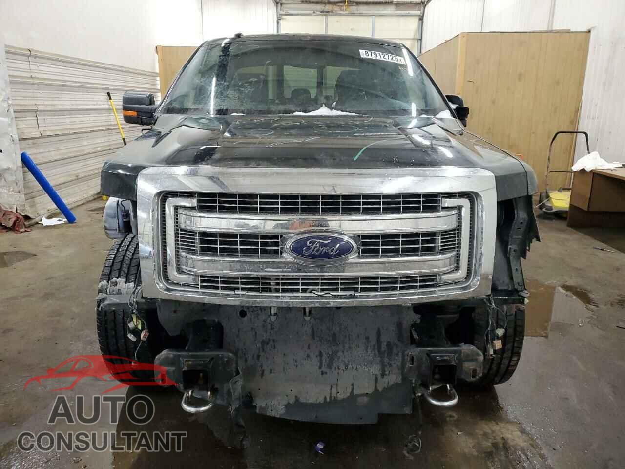 FORD F-150 2013 - 1FTFX1EF5DFA47021