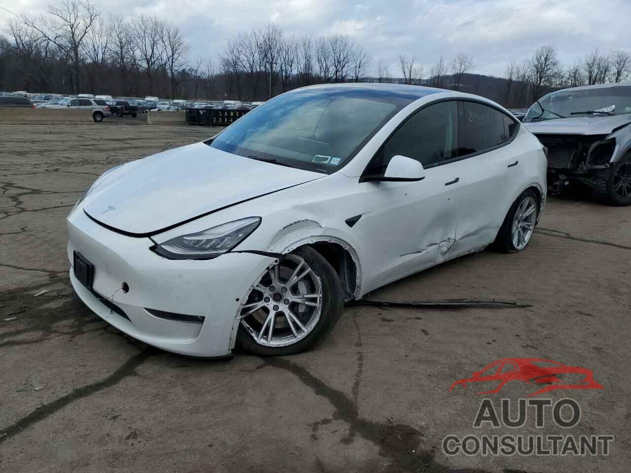 TESLA MODEL Y 2021 - 5YJYGDEE3MF140724