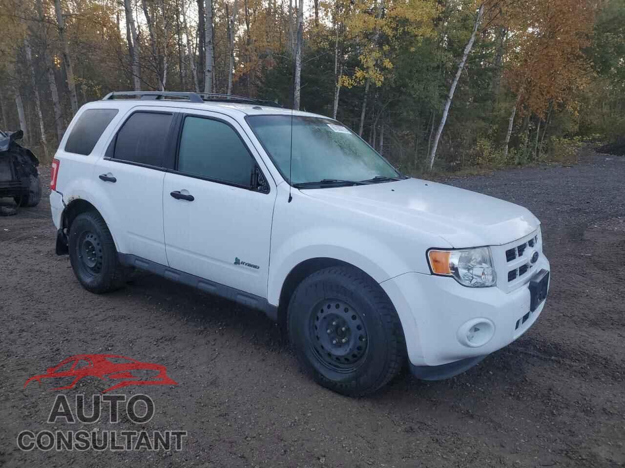FORD ESCAPE 2012 - 1FMCU5K37CKA52560