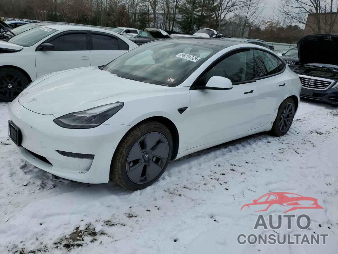 TESLA MODEL 3 2021 - 5YJ3E1EA3MF923487