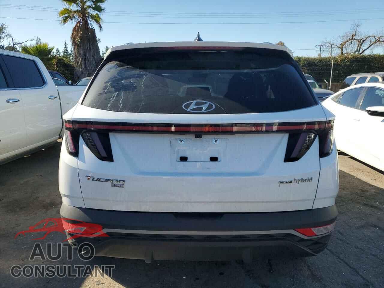 HYUNDAI TUCSON 2023 - KM8JBCA19PU125178