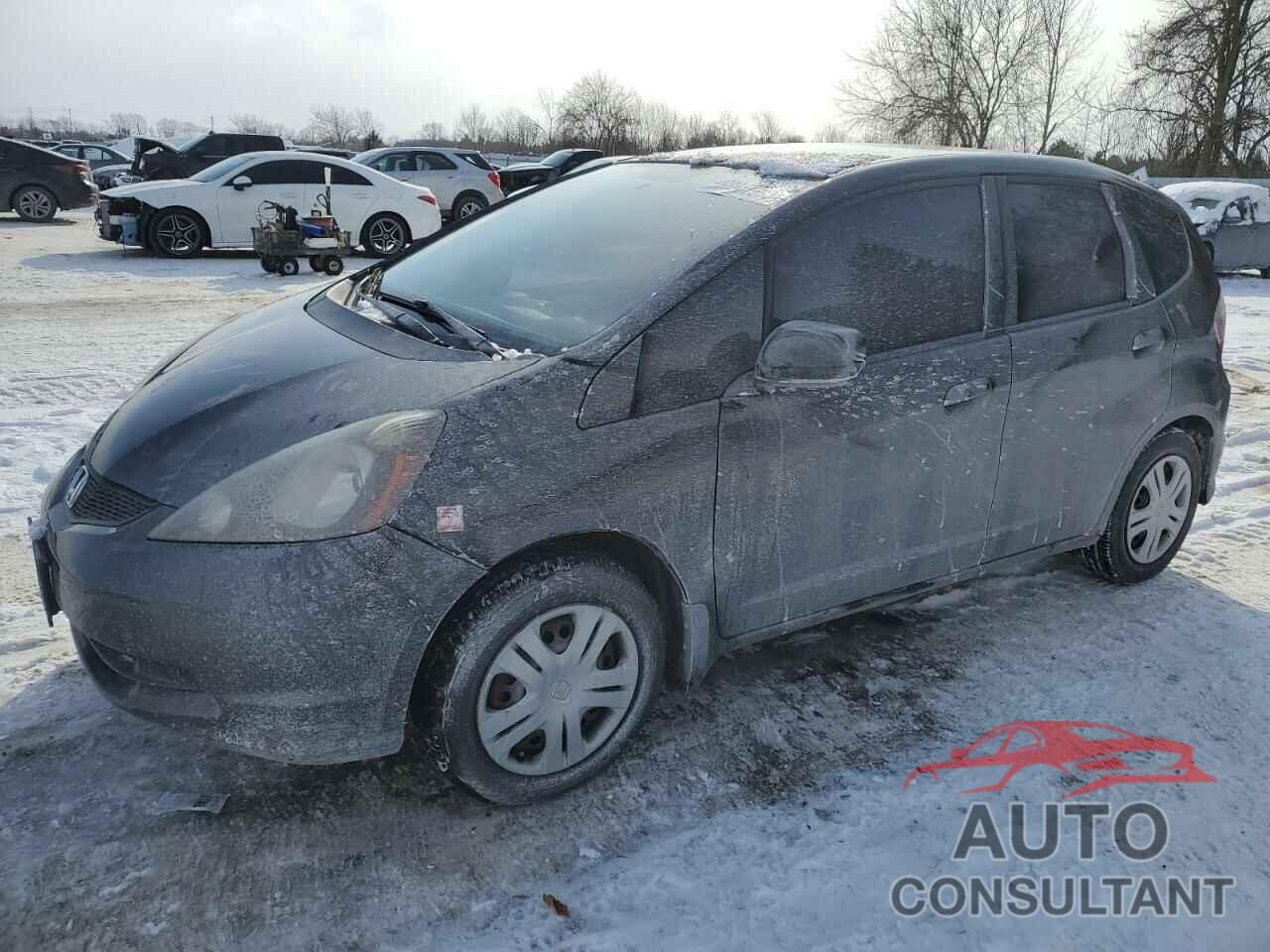HONDA FIT 2009 - JHMGE87349S813596